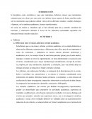 El adulto y el aprendizaje