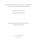 CONSECUENCIAS PARA EL ESTADO Y LA POSTURA DEL CONTADOR PUBLICO ANTE LA EVASION DE IMPUESTOS POR PARTE DE LAS EMPRESAS