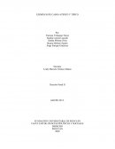 EJEMPLOS DE CASOS ATIPICO Y TIPICO