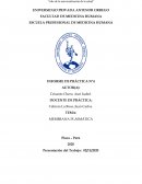 Organizador de membrana plasmatica