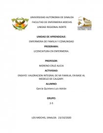 VALORACION INTEGRAL DE MI FAMILIA, EN BASE AL MODELO DE CALGARY. Página 1