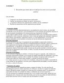 Modelos organizacionales. Actividad 7