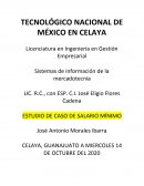 ESTUDIO DE CASO DE SALARIO MÍNIMO