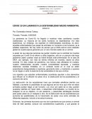 COVID 19 UN LLAMADO A LA SOSTENIBILIDAD MEDIO AMBIENTAL