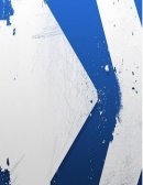 Informe Virginia C.A.