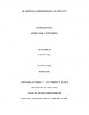 LA EMPRESA, SU ORGANIZACIÓN Y SUS OBJETIVOS