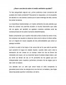 ¿Hacer conciencia sobre el medio ambiente ayudará?