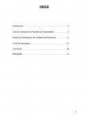 Pae proceso de atencion de enfermeria