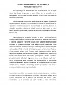 TEORÍA DEL DESARROLLO PSICOLOGICO EN EL NIÑO