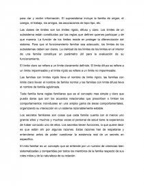 VALORACION INTEGRAL DE MI FAMILIA, EN BASE AL MODELO DE CALGARY. Página 5