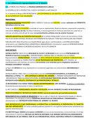 Dibujo. Los sistemas de representación en la historia