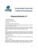Emprendimiento v1 Naturaleza del proyecto
