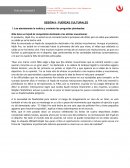 SESIÓN 9 - FUERZAS CULTURALES