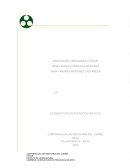 Conociendo El Proceso De Enseñanza De La Lecto-Escritura