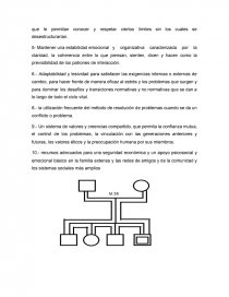VALORACION INTEGRAL DE MI FAMILIA, EN BASE AL MODELO DE CALGARY. Página 7