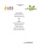 EMPRESA ECO-VANITY S.A DE C.V SHAMPOO SÓLIDO “BELLEZA VITAL”