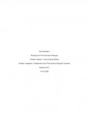 Fundamentos de la Prevención de Riesgos Laborales