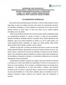 Los hemisferios cerebrales