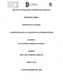 LA IMPORTANCIA DE LA CALIDAD EN LAS ORGANIZACIONES