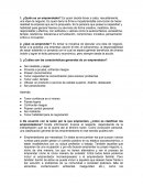 Creacion de organizaciones