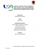 COMUNICACIÓN INTEGRAL Floral Boutique