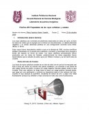 Práctica #2 Propiedades de los rayos catódicos y canales