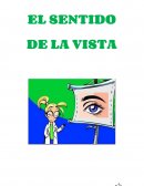 El sentido de la vista