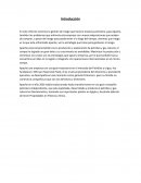Gestión de riesgo de la empresa petrolera y gas Apache