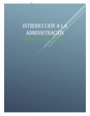 ENTORNO INDIRECTO (MICROAMBIENTE)