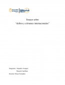 Ensayo sobre “delitos y crímenes internacionales”