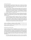 Importancia de las mascotas