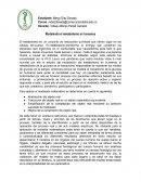 Modelando el metabolismo en humanos