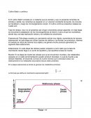 Cultivo batch y continuo