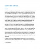 Diario de observacion: Español , Matemáticas