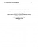 OLAS PARADIGMÁTICAS DE LA ESTRATEGIA