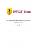 Fisiología Circulatoria. Frecuencia cardiaca, pulso y presión arterial