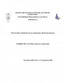 Ensayo Final Sobre Mi Práctica Docente