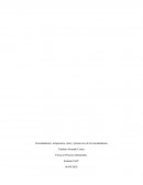 Termodinámica: temperatura, calor y primera ley de la termodinámica
