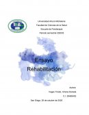 Conceptos basicos de Fisioterapia