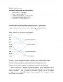 Morfología. Ejercicios Resueltos y nuevos
