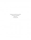 Tratamiento de cuentas de activo específicas