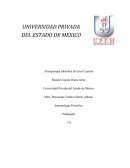 Ensayo Antropologia filosofica de Ernest Casier