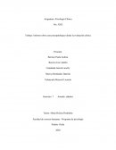 Informe sobre caso psicopatológico desde la evaluación clínica