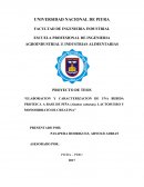 PROYECTO DE TESIS “ELABORACION Y CARACTERIZACION DE UNA BEBIDA PROTEICA A BASE DE PIÑA (Ananas comosus), LACTOSUERO Y MONOHIDRATO DE CREATINA”