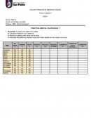 Logistica. Práctica Grupal