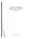 Etapa 2 Proyecto: Objeto de estudio