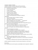 Trabajo colaborativo. Punto de Vista Personal