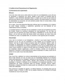 Análisis de las Dimensiones de la Organización