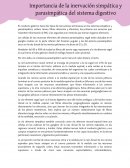 Tipos de inervaciones y funciones de los plexos