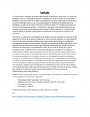 Lactato y frecuencia respiratoria